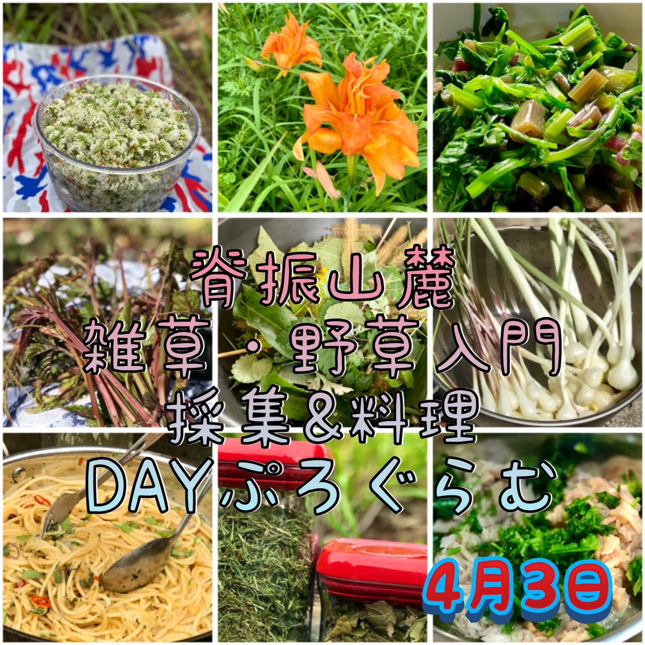 【JBS認定インストラクター個人主催イベントのご紹介】BCT＝脊振山麓=雑草・野草入門=  採集 & 料理 DAYぷろぐらむ