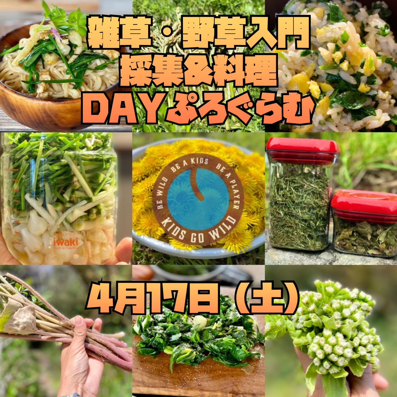 【JBS認定インストラクター個人主催イベントのご紹介】雑草・野草入門= 採集&料理 DAYぷろぐらむⅡ
