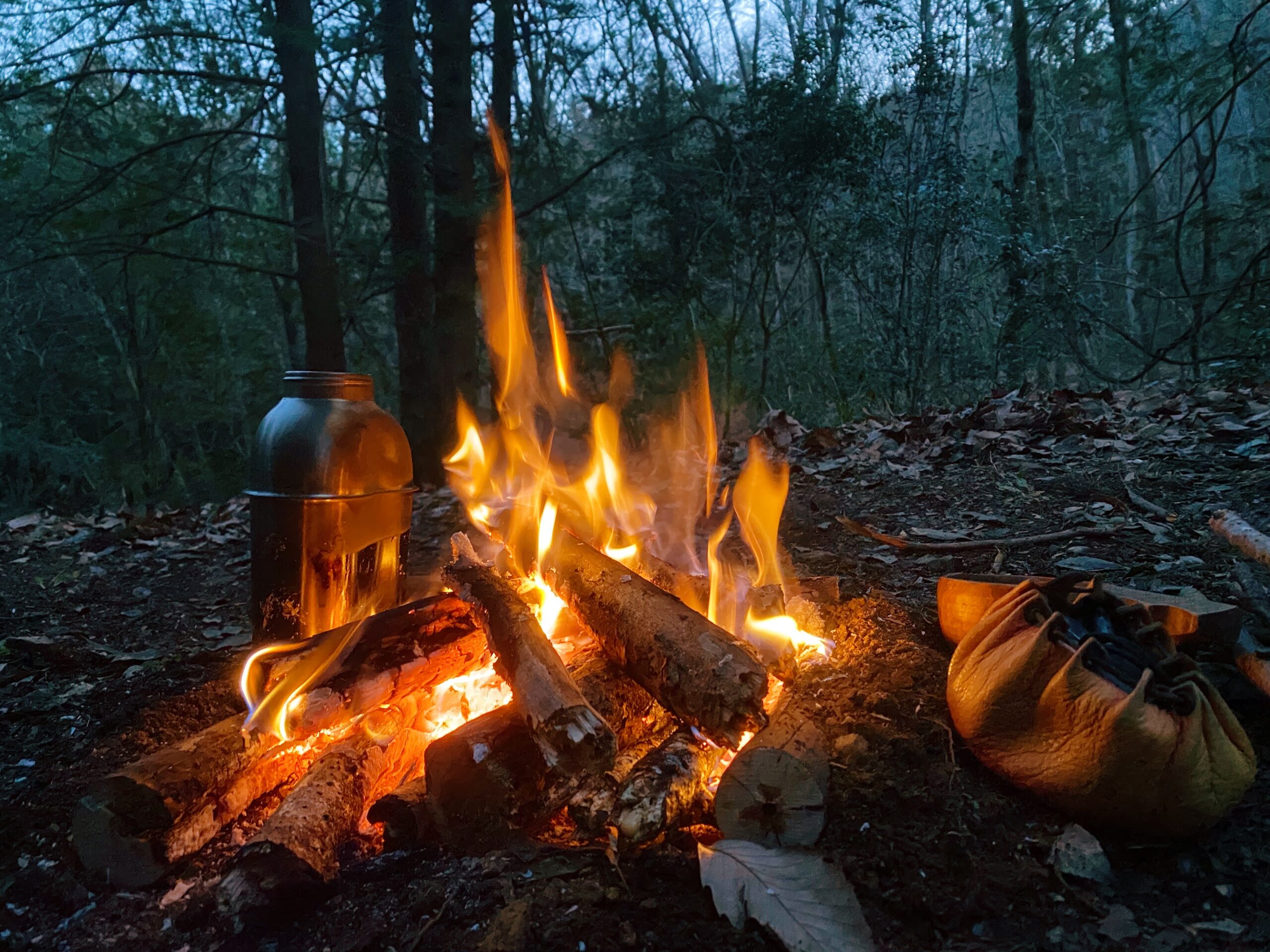【お申込開始】認定インストラクター向け特別講習 クエストキャンプ + 外部講師によるスペシャルセミナー