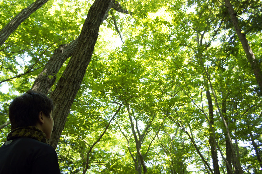 【お申込開始】認定インストラクター向け特別講習 アーボリストに学ぶ ~ 森を読み解き、森で遊ぶ ~